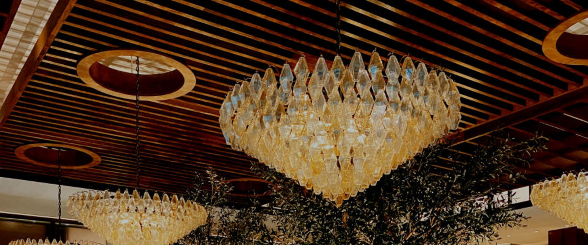 Exploring Casual Dining Options in Dallas